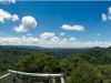 Panorama of the canopy, Ulu Temburong National Park, Brunei