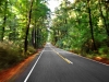 road_fb