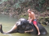 Bathing with elephants