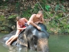 Riding an elephant