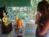 Praying Buddha